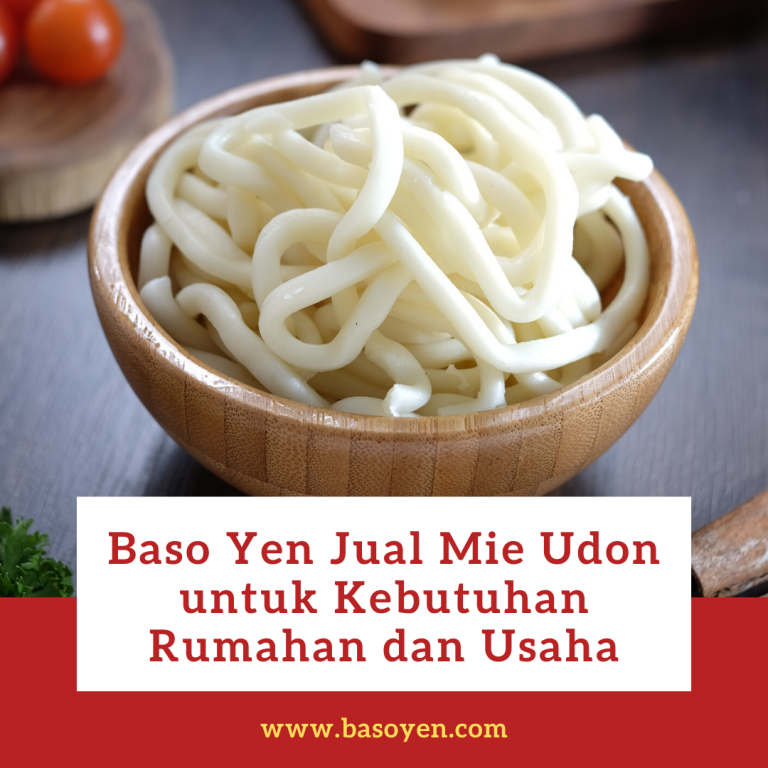 jual mie udon